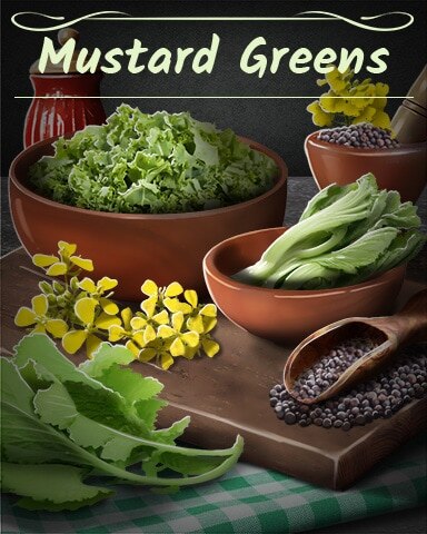 Word Whomp HD Mustard Greens Badge