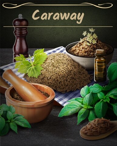 Canasta HD Caraway Badge