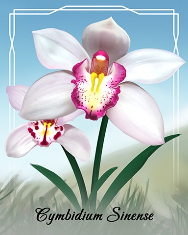 Cymbidium Sinense Orchid Badge - First Class Solitaire HD