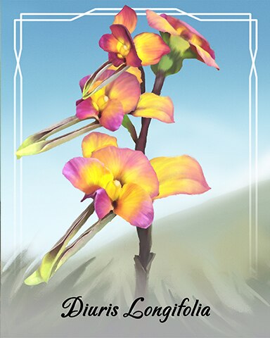 Diuris Longifolia Orchid Badge - World Class Solitaire HD