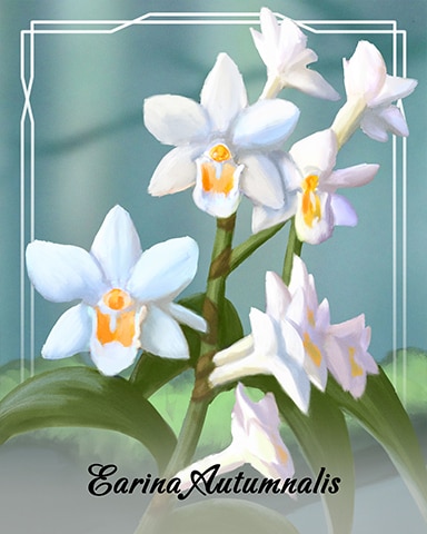 Earina Autumnalis Orchid Badge - World Class Solitaire HD