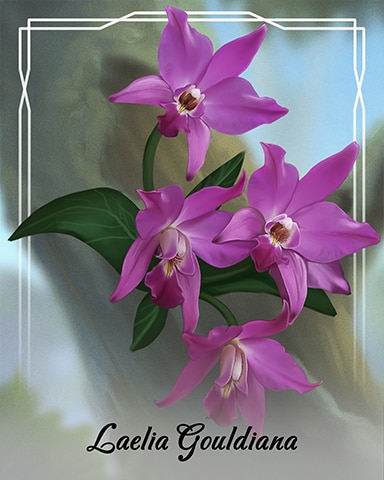 Laelia Gouldiana Orchid Badge - Tri Peaks Solitaire HD