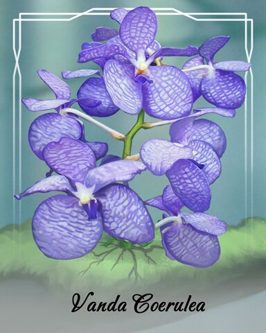 Vanda Coerulea Orchid Badge - Word Whomp HD