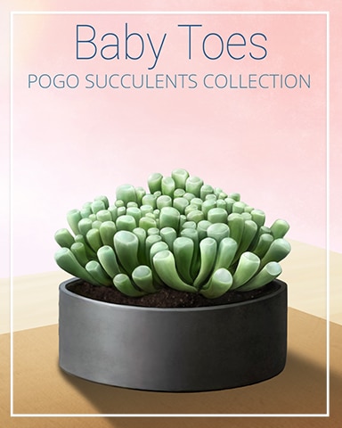 Baby Toes Succulent Badge - Jungle Gin HD