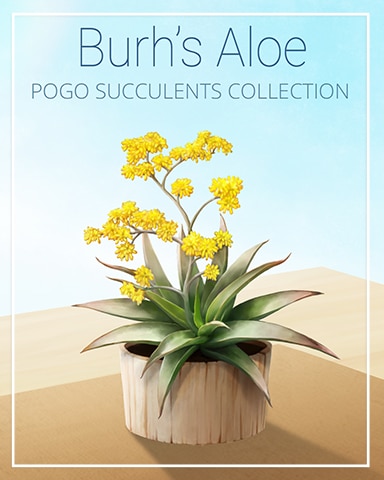 Burh's Aloe Succulent Badge - Tri-Peaks Solitaire HD