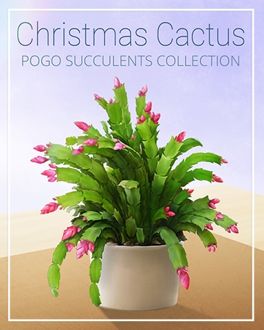 Christmas Cactus Succulent Badge - Pogo Slots