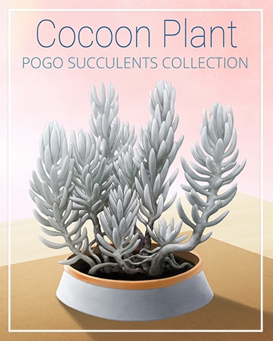 Cocoon Plant Succulent Badge - First Class Solitaire HD