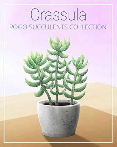 Crassula Succulent Badge - Tri-Peaks Solitaire HD