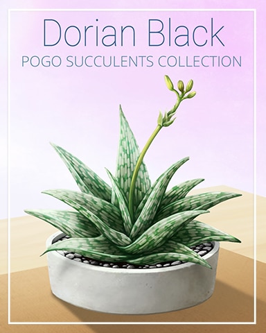 Dorian Black Succulent Badge - Canasta HD