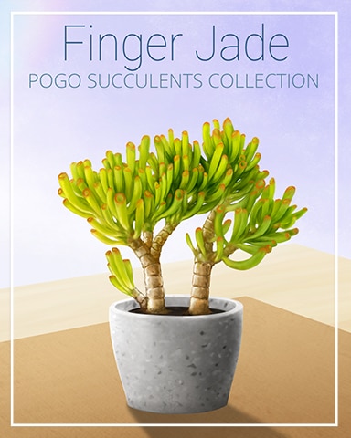 Finger Jade Succulent Badge - Mahjong Safari HD