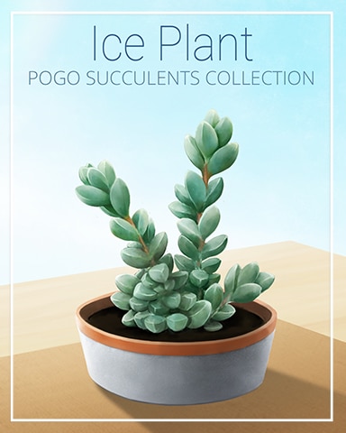 Ice Plant Succulent Badge - Poppit! Bingo