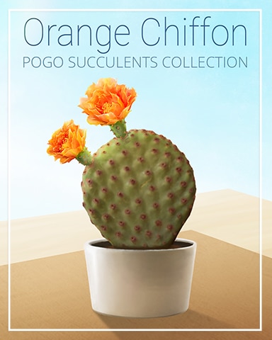 Orange Chiffon Succulent Badge - Jungle Gin HD