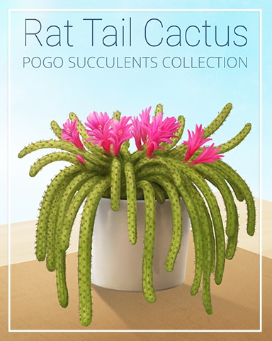 Rat Tail Cactus Succulent Badge - Spades HD