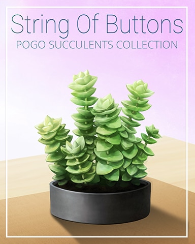 String of Buttons Succulent Badge - Snowbird Solitaire