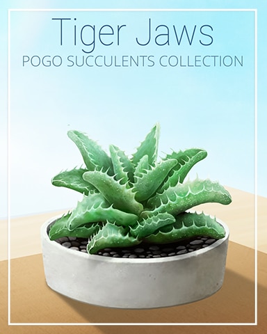 Tiger Jaws Succulent Badge - First Class Solitaire HD