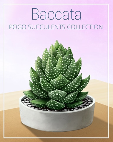 Baccata Succulent Badge - World Class Solitaire HD