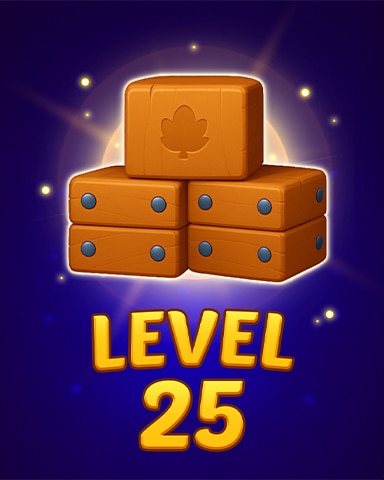 Level 25 Badge - Matching Moments