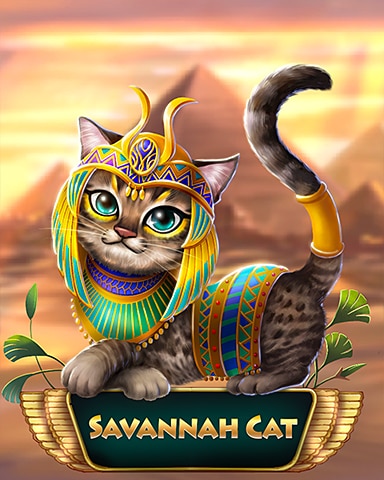 Savannah Cairo Cat Badge - Pogo Slots