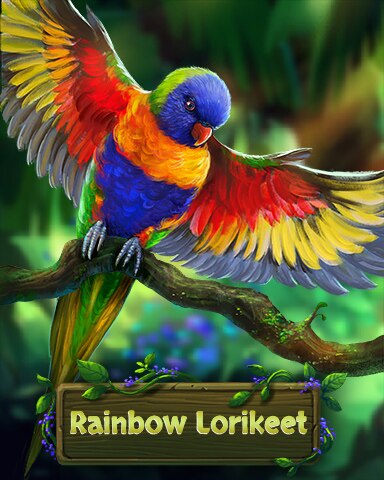 Jungle Gin HD Rainbow Lorikeet Fancy Feathers Badge