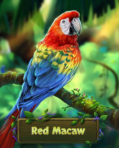 Jungle Gin HD Red Macaw Fancy Feathers Badge