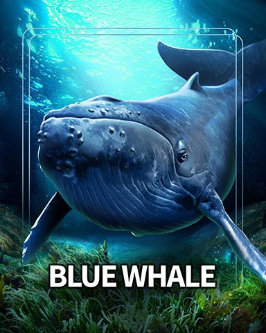 Mahjong Safari HD Blue Whale Sea Giants Badge