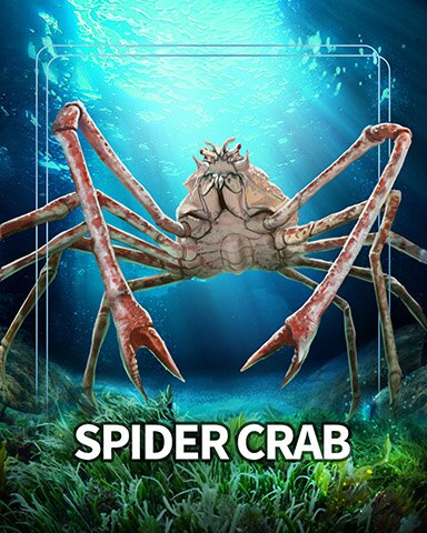 Mahjong Safari HD Spider Crab Sea Giants Badge