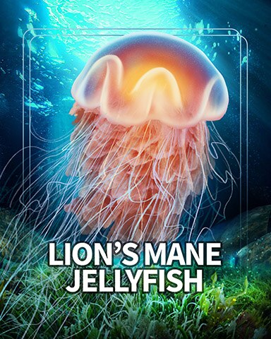 Mahjong Safari HD Jellyfish Sea Giants Badge