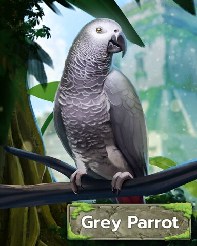 African Gray Parrot Badge - Tri-Peaks Solitaire HD