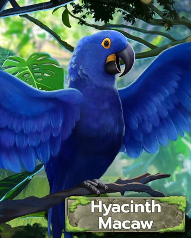 Blue Hyacinth Macaw Badge - Tri-Peaks Solitaire HD