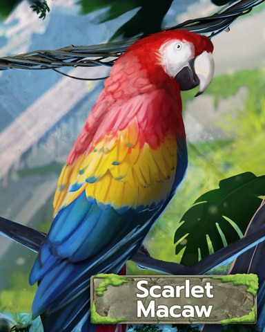 Neotropical Scarlet Macaw Badge - Tri-Peaks Solitaire HD