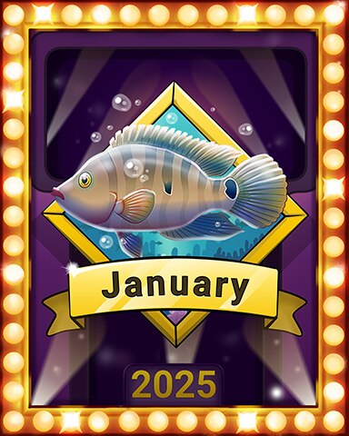 Quinn's Aquarium New Year Splash Fest Lap 3 Game of the Month Badge