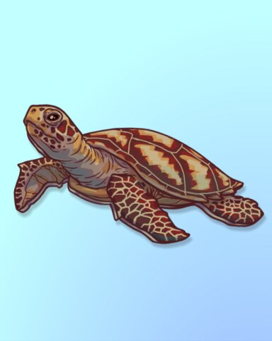 Quinn's Aquarium Turtle, Up! Badge