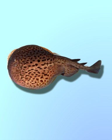 Quinn's Aquarium A Shocking Sight Badge