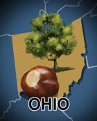 Jet Set Solitaire Ohio Badge