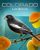 Jet Set Solitaire Lark Bunting Badge