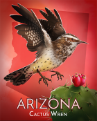 Phlinx II Cactus Wren Badge