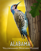 World Class Solitaire HD Yellowhammer Badge