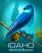 Jet Set Solitaire Idaho Mountain Bluebird Badge