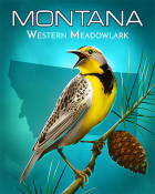 Jet Set Solitaire Montana Western Meadowlark Badge
