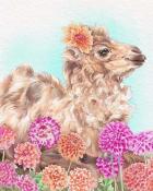 First Class Solitaire HD Camel Animals with Blooms Badge