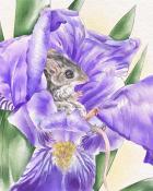 Tri-Peaks Solitaire HD Mouse Animals with Blooms Badge