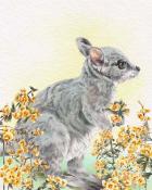 Poppit! Party Wallaby Animals with Blooms Badge