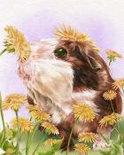 Snowbird Solitaire Guinea Pig Animals with Blooms Badge