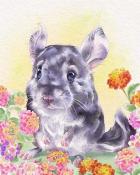 Rainy Day Spider Solitaire HD Chinchilla Animals with Blooms Badge
