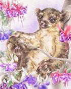 Canasta HD Kinkajou Animals with Blooms Badge
