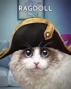 First Class Solitaire HD Ragdoll Cats In Hats Badge