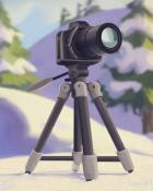 Camera Tripod Cozy Chalet Badge