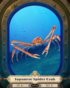 Japanese Spider Crab Deep Sea Creatures Badge - Snowbird Solitaire
