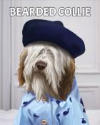 Canasta HD Bearded Collie Dogs in Disguise Badge