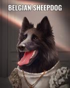 Poppit! Bingo Belgian Sheepdog Dogs in Disguise Badge